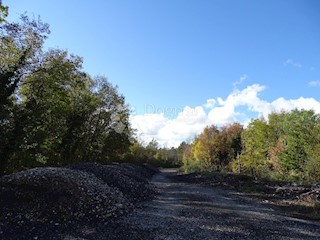 Terreno Lupoglav, 28.529m2