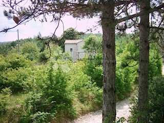 Terreno Lesišćina, Lupoglav, 83.294m2