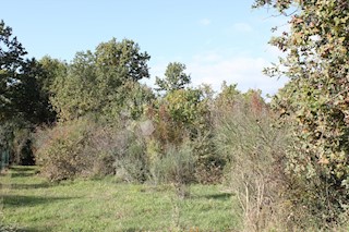 Terreno Barbariga, Vodnjan, 10.448m2