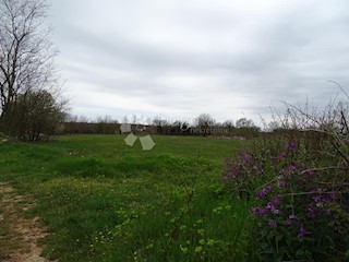 Terreno Žužići, Tinjan, 960m2