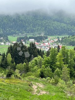 Terreno Sunger, Mrkopalj, 6.000m2