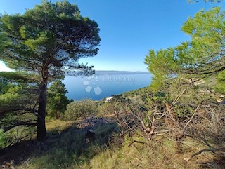 Terreno Marušići, Omiš, 3.974m2