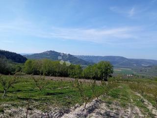 Terreno Kaldir, Motovun, 3.597m2