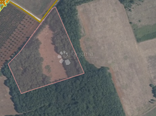 Terreno agricolo Kaštelir, Kaštelir-Labinci, 24.118m2
