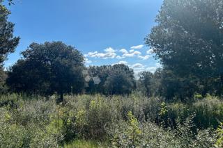 Terreno agricolo Rovinj, 11.040m2