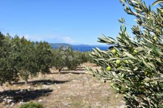 Terreno agricolo Sutivan, 7.989m2