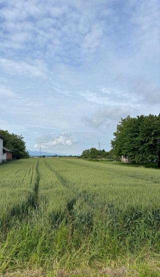 Terreno agricolo Gornji Kućan, Varaždin - Okolica, 4.144m2