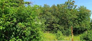 Terreno edificabile Kukuljanovo, Bakar, 994m2