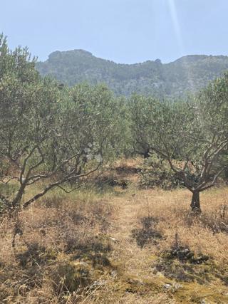 Terreno edificabile Hvar, 899m2