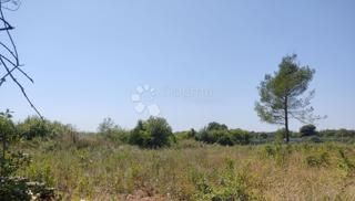 Terreno agricolo Galižana, Vodnjan, 2.062m2