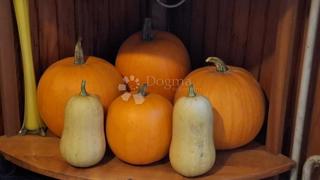 Terreno edificabile Jablan, Vrbovsko, 3.384m2