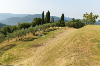 Terreno agricolo con vista sul lago Butonigua