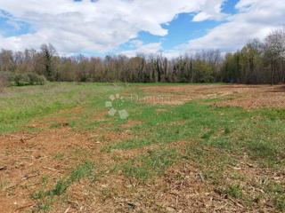 Terreno edificabile Drežnik Grad, Rakovica, 5.503m2