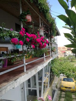 Casa Centar, Sisak, 255m2