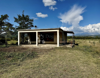 Casa Indipendente a Piano Terra con Ampio Terreno – Opportunità di Ristrutturazione