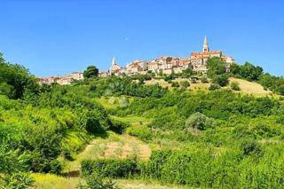 Terreno agricolo Krasica, Buje, 10.489m2