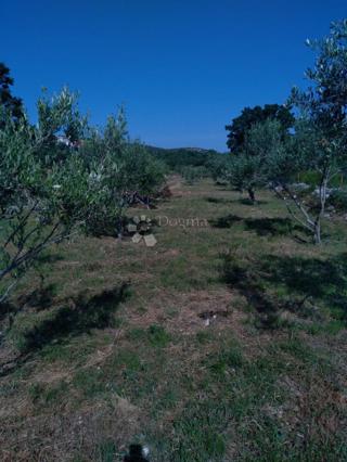 Terreno edificabile Vinjerac, Posedarje, 1.950m2
