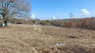 Terreno Šajini, Barban, 3.352m2