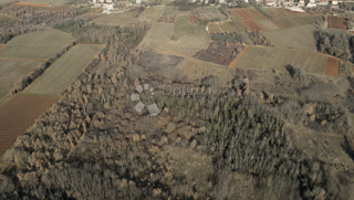 Terreno edificabile Fuškulin, Poreč, 47.418m2