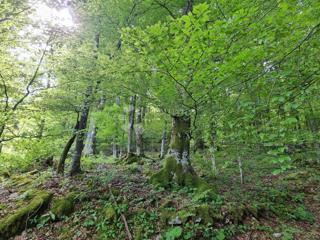 Terreno agricolo Delnice, 75,56m2