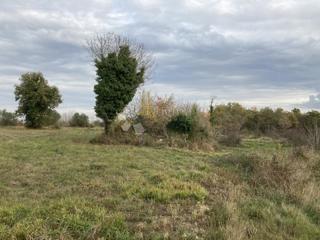 Terreno edificabile Brtonigla, Brtonigla, Brtonigla, Istarska županija, 652m2