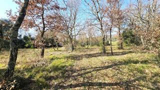 Terreno agricolo Rovinj, 19.838m2