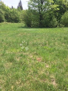 Terreno Crni Lug, Delnice, 6.855m2