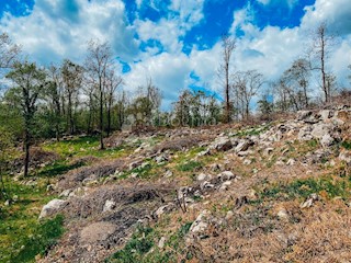 Terreno Mučići, Matulji, 1.955m2