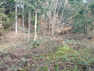 Terreno Pila, Stubičke Toplice, 3.380m2