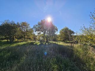 Terreno Umag, 490m2