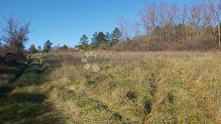 Terreno Trviž, Pazin - Okolica, 25.400m2