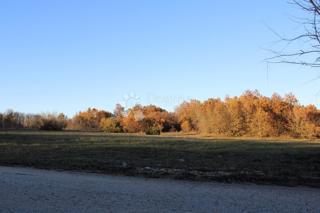 Terreno agricolo Kanfanar, 13.000m2