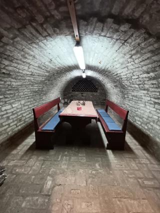 Casa Zmajevac, Kneževi Vinogradi, 730m2