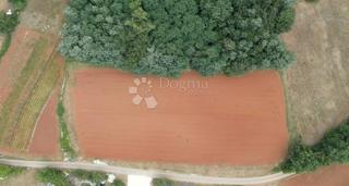 Terreno edificabile Tar, Tar-Vabriga, 928m2