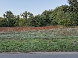 3 proprietà all'ingresso di Šegotiće, a 3500 m dal mare
