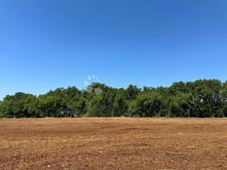 Istria – Muntić | Terreno agricolo 10.096 m2 con possibilità di edificazione