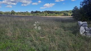 Terreno agricolo Štokovci, Svetvinčenat, 26.059m2