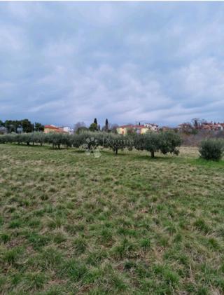 Terreno edificabile Murine, Umag, 600m2