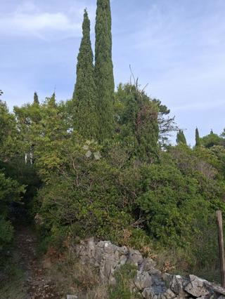Terreno agricolo Močići, Konavle, 7.214m2