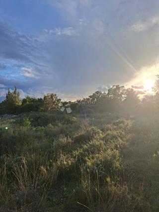 Terreno agricolo Močići, Konavle, 10.477m2