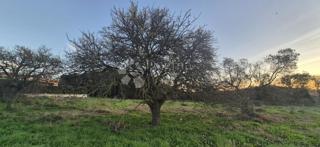 Terreno edificabile a 1 km dal mare 