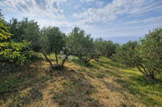 Terreno edificabile Sveti Filip i Jakov, Sveti Filip I Jakov, 3.000m2