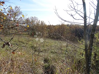 Terreno Završje, Grožnjan, 3.500m2