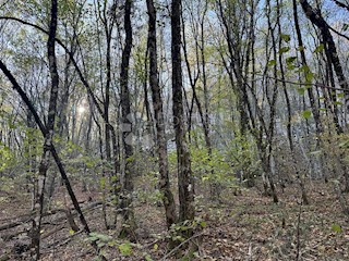 Terreno Poljane, Opatija - Okolica, 20.733m2