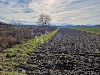 Terreno Biškupec, Varaždin, 5.410m2