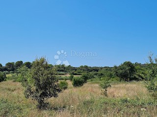 Terreno Veli vrh, Pula, 782m2