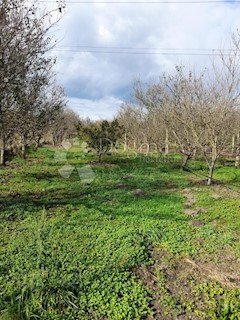 Terreno Nedelišće, 17.005m2