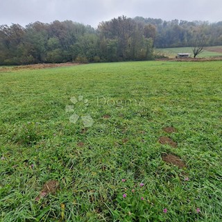 Terreno Goričanec, Sveti Ivan Zelina, 6.464m2