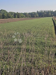 Terreno Texas, Varaždin, 5.396m2