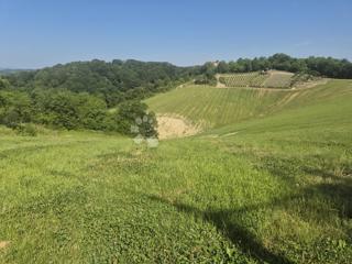 Terreno Križanče, Bedekovčina, 30.526m2